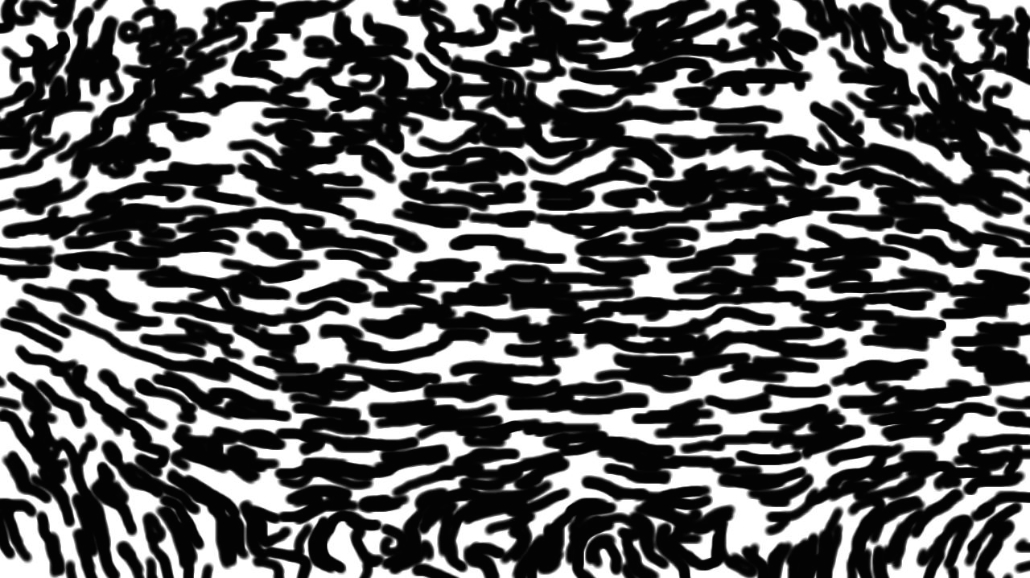 image: an image