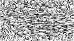 image: an image