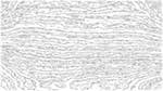 Second of 'reflets &mdash; paint action sequence &mdash; vector 1'.