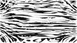 First of 'reflets &mdash; paint action sequence &mdash; vector efx 1'.
