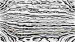 Fourth of 'reflets &mdash; paint action sequence &mdash; vern pas 2 1'.