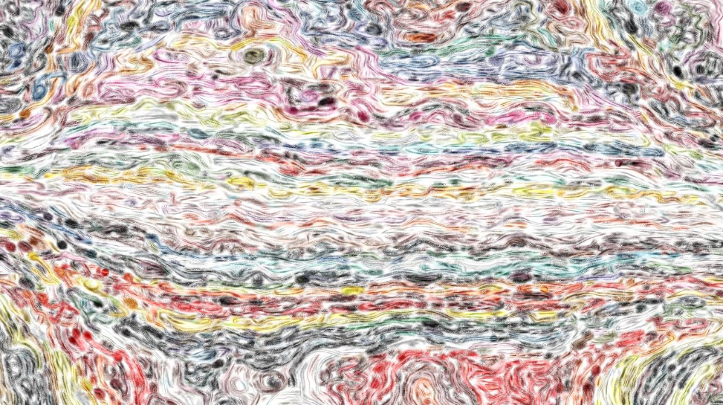image: an image