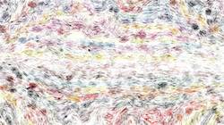 image: an image
