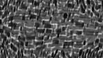 image: an image
