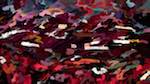 First of 'reflets &mdash; dualmode paint &mdash; default warp test 1'.