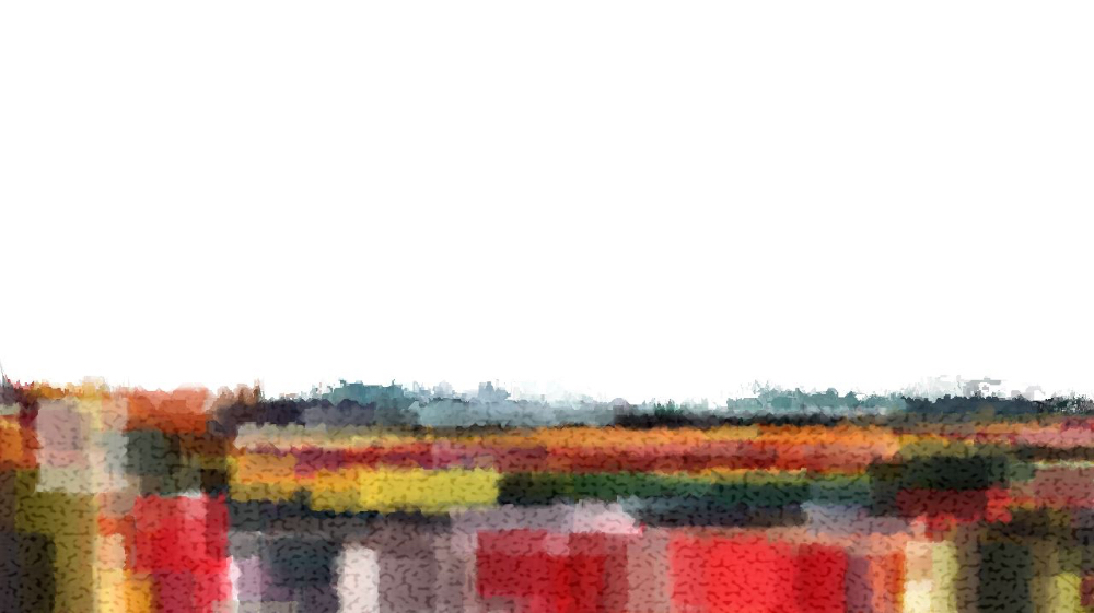 image: an image