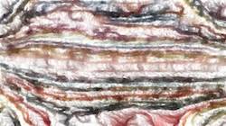 Eighth of 'reflets &mdash; paint synthesiser classic &mdash; paint styles watercolour wet 1'.
