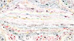 Third of 'reflets &mdash; paint synthesiser classic &mdash; paint styles watercolour wet 2'.