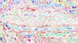 Sixth of 'reflets &mdash; paint synthesiser classic &mdash; paint styles wet 1'.