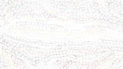 Seventh of 'reflets &mdash; paint synthesiser classic &mdash; default wet paint 1'.