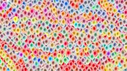 Third of 'reflets &mdash; paint synthesiser classic &mdash; 3.0 collection wild ones 1'.