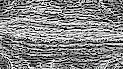 First of 'reflets &mdash; paint synthesiser classic &mdash; 3.0 collection wild ones 2'.