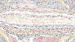 image: an image