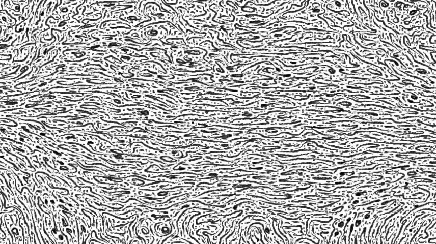 image: an image