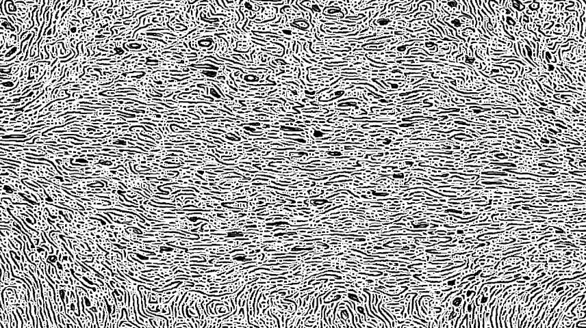 image: an image