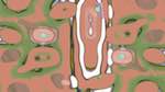 Third of 'reflets &mdash; msg &mdash; variations 2 z 1 6'.