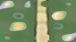 Sixth of 'reflets &mdash; msg &mdash; variations 2 z 1 6'.