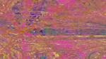 image: an image