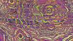 image: an image