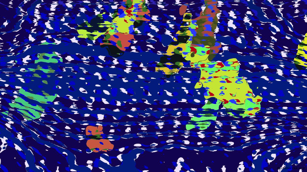 Image 'reflets &mdash; msg &mdash; variations 2 z 2 2 5'.