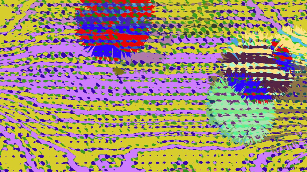 Image 'reflets &mdash; msg &mdash; variations 2 z 2 3 5'.