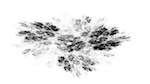 Fourth of 'reflets &mdash; msg &mdash; variations 2 z test 1 4'.