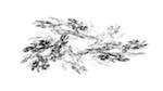 Sixth of 'reflets &mdash; msg &mdash; variations 2 z test 1 4'.