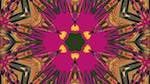 Second of 'reflets &mdash; msg &mdash; variations 2 z test 2 12'.