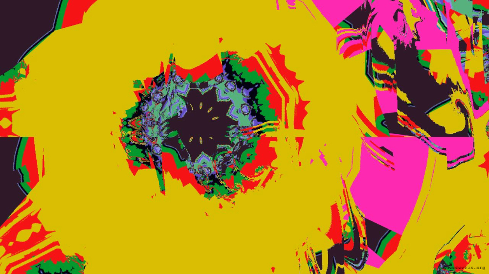 image: an image