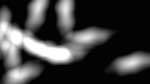 Sixth of 'reflets &mdash; msg &mdash; variations 2 z test 3 3'.