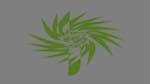Eighth of 'zz msg presets ztest 1 1'.