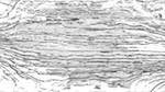 Second of 'zz msg presets ztest 2'.