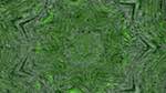 Fifth of 'reflets &mdash; msg &mdash; variations 1 zygotes 1'.