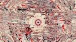 Seventh of 'reflets &mdash; msg &mdash; variations 1 zygotes 1'.
