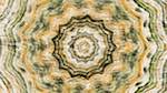 Fifth of 'reflets &mdash; msg &mdash; variations 1 zygotes 2'.