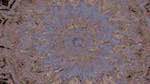 First of 'reflets &mdash; msg &mdash; variations 1 zygotes 4'.