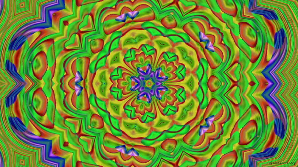 image: an image