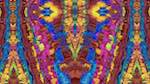 image: an image