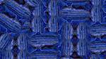 Seventh of 'reflets &mdash; msg &mdash; variations 2 zzzzzz test cg 1'.