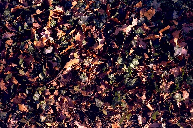 image: 2 of 4