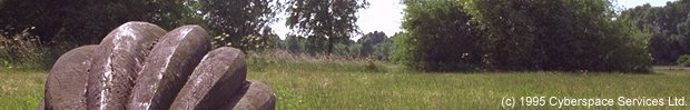 image: 3 of 3