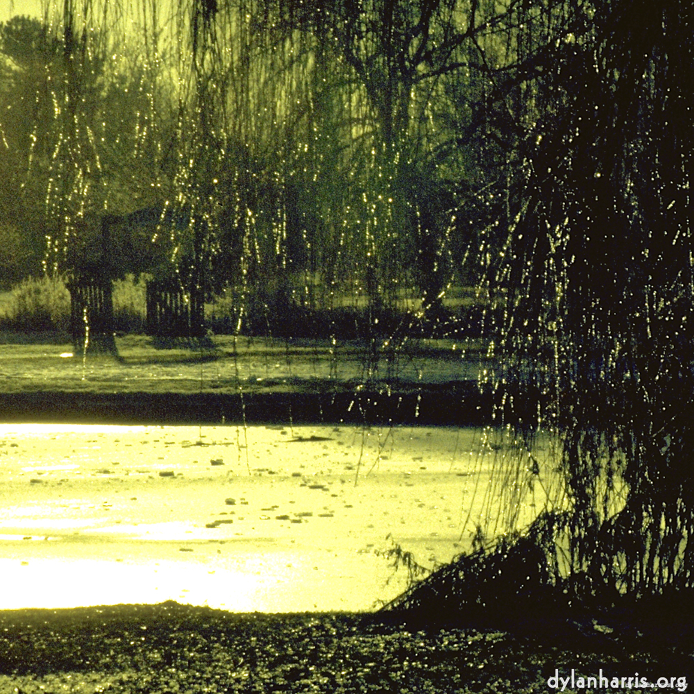 image: This is &lsquo;st.neots park (i) 3&rsquo;.