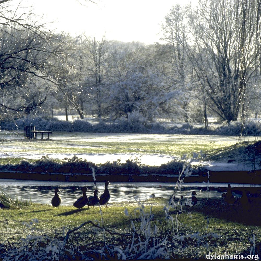 image: This is &lsquo;st.neots park (i) 4&rsquo;.