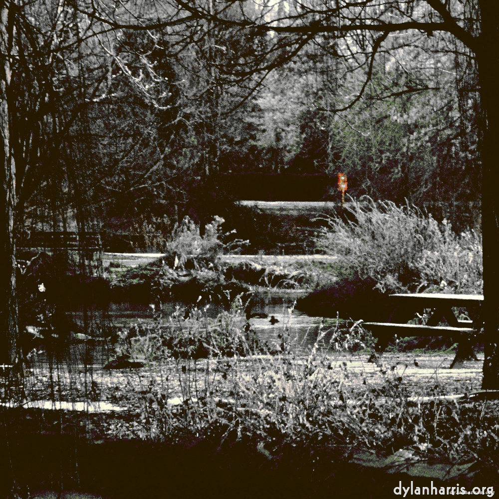image: This is &lsquo;st.neots park (i) 5&rsquo;.