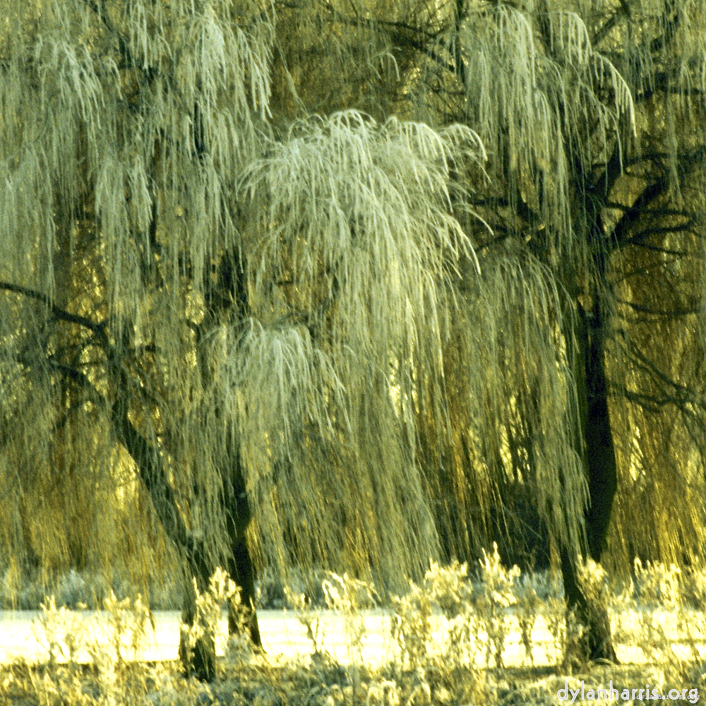image: This is &lsquo;st.neots park (i) 6&rsquo;.