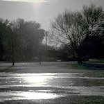 image: Image from the photoset &lsquo;st.neots park (i)&rsquo;.