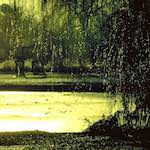 image: Image from the photoset &lsquo;st.neots park (i)&rsquo;.