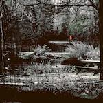 image: Image from the photoset &lsquo;st.neots park (i)&rsquo;.