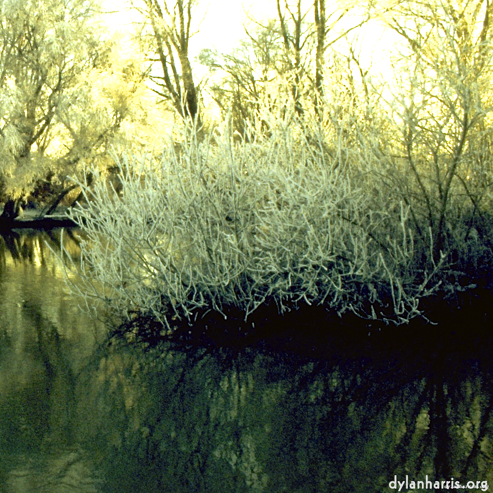 image: This is &lsquo;st.neots park (ii) 3&rsquo;.