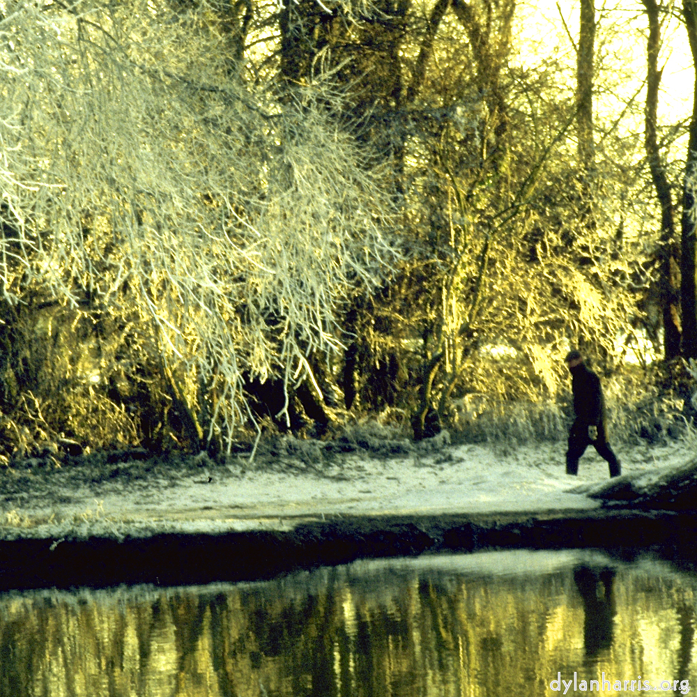 image: This is &lsquo;st.neots park (ii) 6&rsquo;.